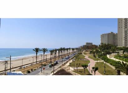 Apartamento - Venta - El Campello - Platja Muchavista