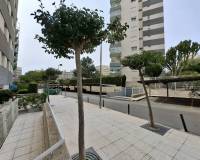 Location longue durée - Apartamento - El Campello - Platja Muchavista