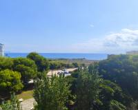 Location longue durée - Appartement - El Campello