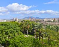 Location longue durée - Appartement - El Campello