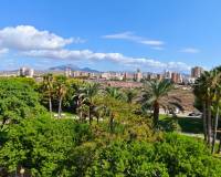 Location longue durée - Appartement - El Campello