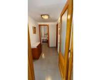 Location longue durée - Appartement - El Campello