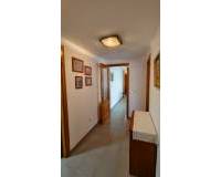 Location longue durée - Appartement - El Campello