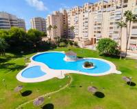 Location longue durée - Appartement - El Campello