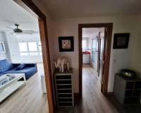 Long time Rental - Apartamento - El Campello - Platja Muchavista