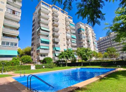 Penthouse - Resale - El Campello - Campello Beach