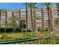 Resale - Apartamento - El Campello - Platja Muchavista