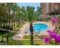 Resale - Apartamento - El Campello - Platja Muchavista