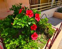 Resale - Apartment - El Campello - Platja Muchavista