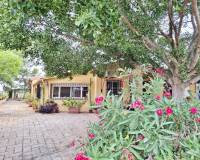 Resale - Chalet - Sant Vicent del Raspeig - San Vicente del Raspeig - Villamontes-Boqueres