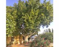 Resale - Chalet - Sant Vicent del Raspeig - San Vicente del Raspeig - Villamontes-Boqueres