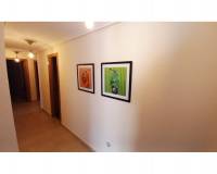 Resale - Piso - El Campello - El Campello Playa