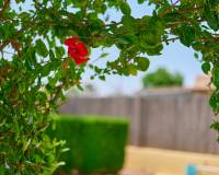 Resale - Villa - Muchamiel