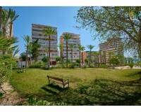 Revente - Apartamento - El Campello - Platja Muchavista
