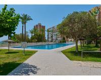 Revente - Apartamento - El Campello - Platja Muchavista