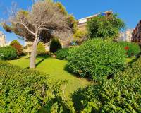 Revente - Appartement - El Campello - Platja Muchavista