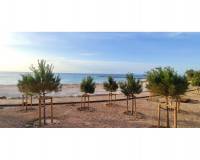 Revente - Ático - El Campello - Norte-Venta Lanuza-Cala d'Or