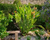 Revente - Maison de ville - Busot