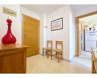 Revente - Piso - El Campello - El Campello Playa