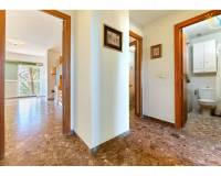 Venta - Apartamento - El Campello - El Campello Playa