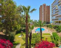 Venta - Apartamento - El Campello - Platja Muchavista
