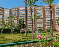 Venta - Apartamento - El Campello - Platja Muchavista