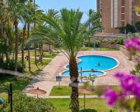 Venta - Apartamento - El Campello - Platja Muchavista