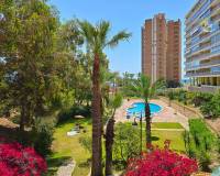 Venta - Apartamento - El Campello - Platja Muchavista