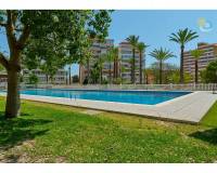 Venta - Apartamento - El Campello - Platja Muchavista