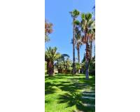 Venta - Apartamento - Mutxamel