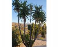 Venta - Chalet - El Campello - Norte-Venta Lanuza-Cala d'Or