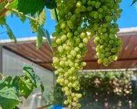 Venta - Chalet - El Campello - Pueblo Acantilado - Venta Lanuza