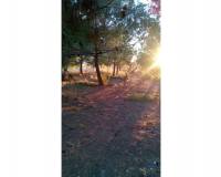 Venta - Chalet - Sant Vicent del Raspeig - San Vicente del Raspeig - Villamontes-Boqueres