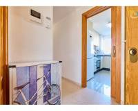 Venta - Piso - El Campello - Platja Muchavista