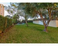 Venta - Piso - El Campello - Platja Muchavista