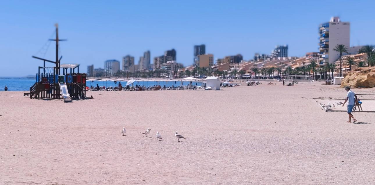 Venta - Penthouse Apartment - El Campello - Campello Beach