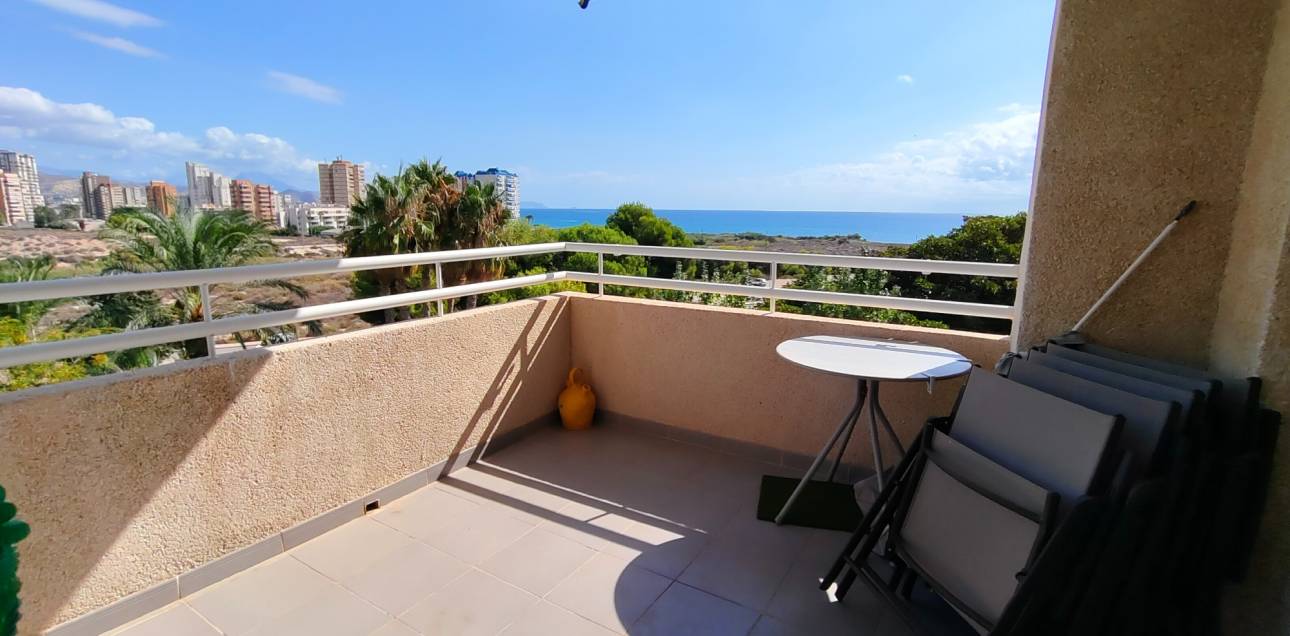 Location longue durée - Appartement - El Campello