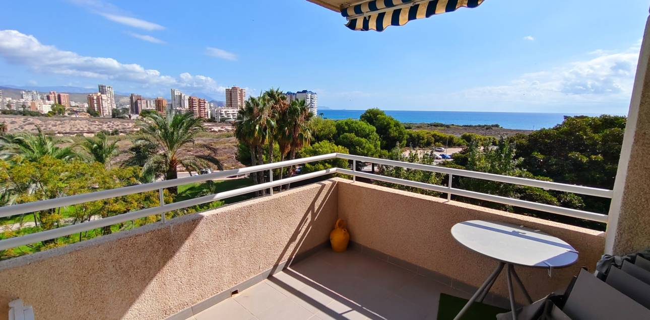 Location longue durée - Appartement - El Campello