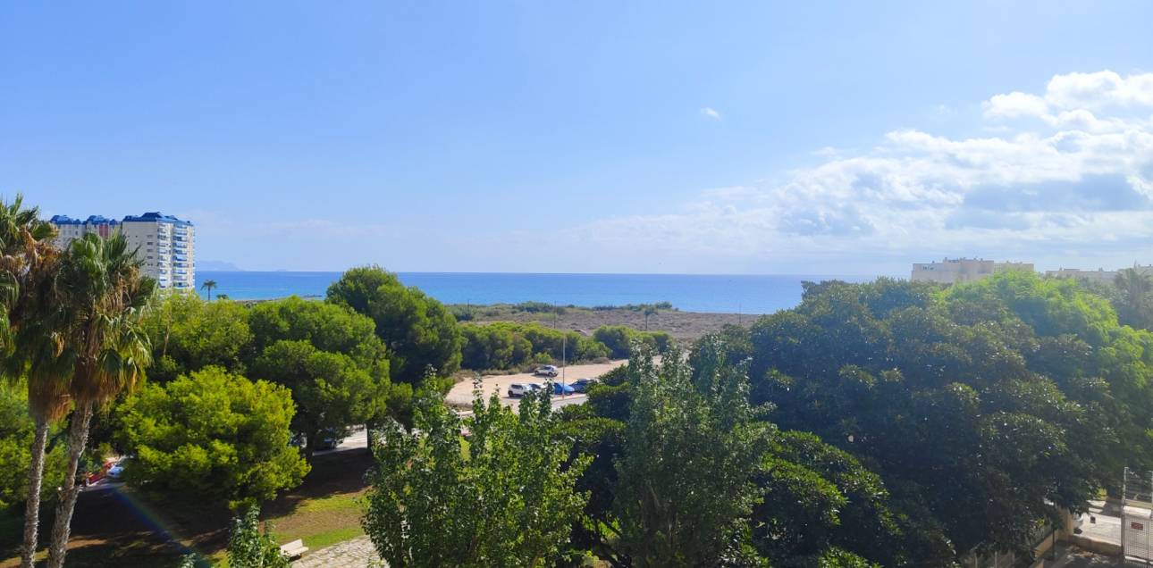 Location longue durée - Appartement - El Campello