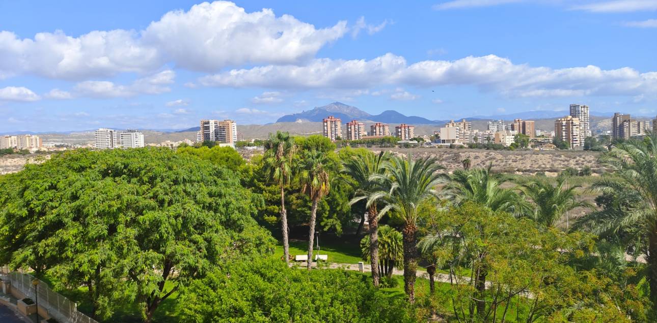 Location longue durée - Appartement - El Campello
