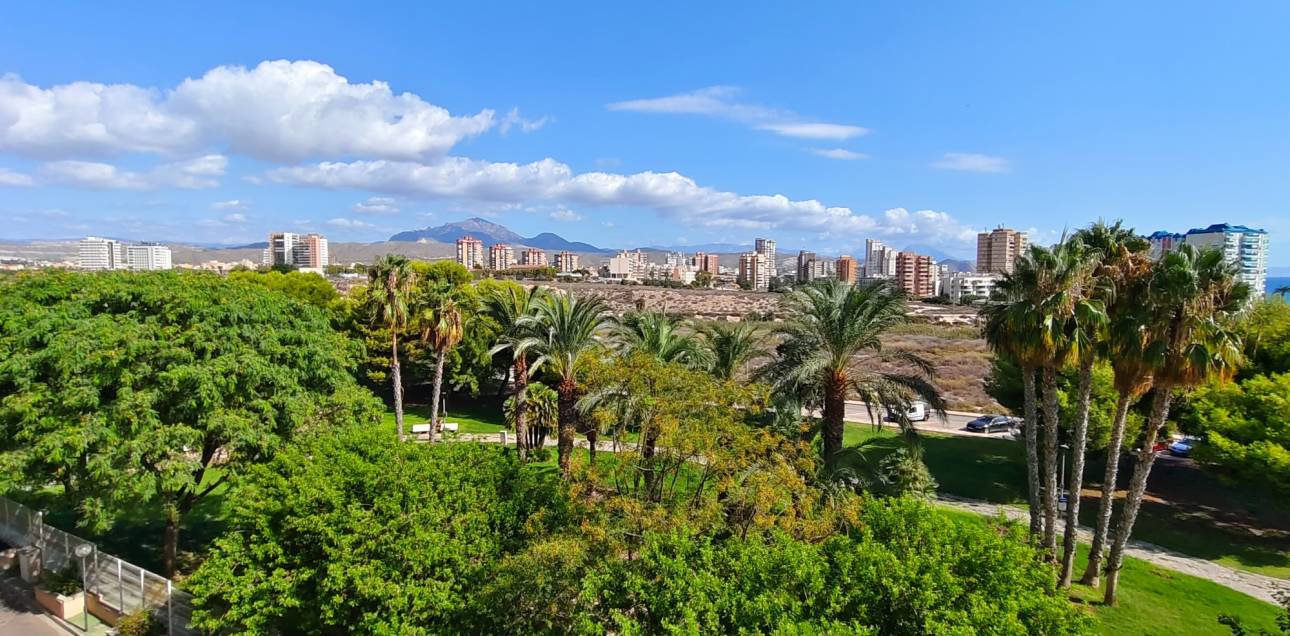 Location longue durée - Appartement - El Campello