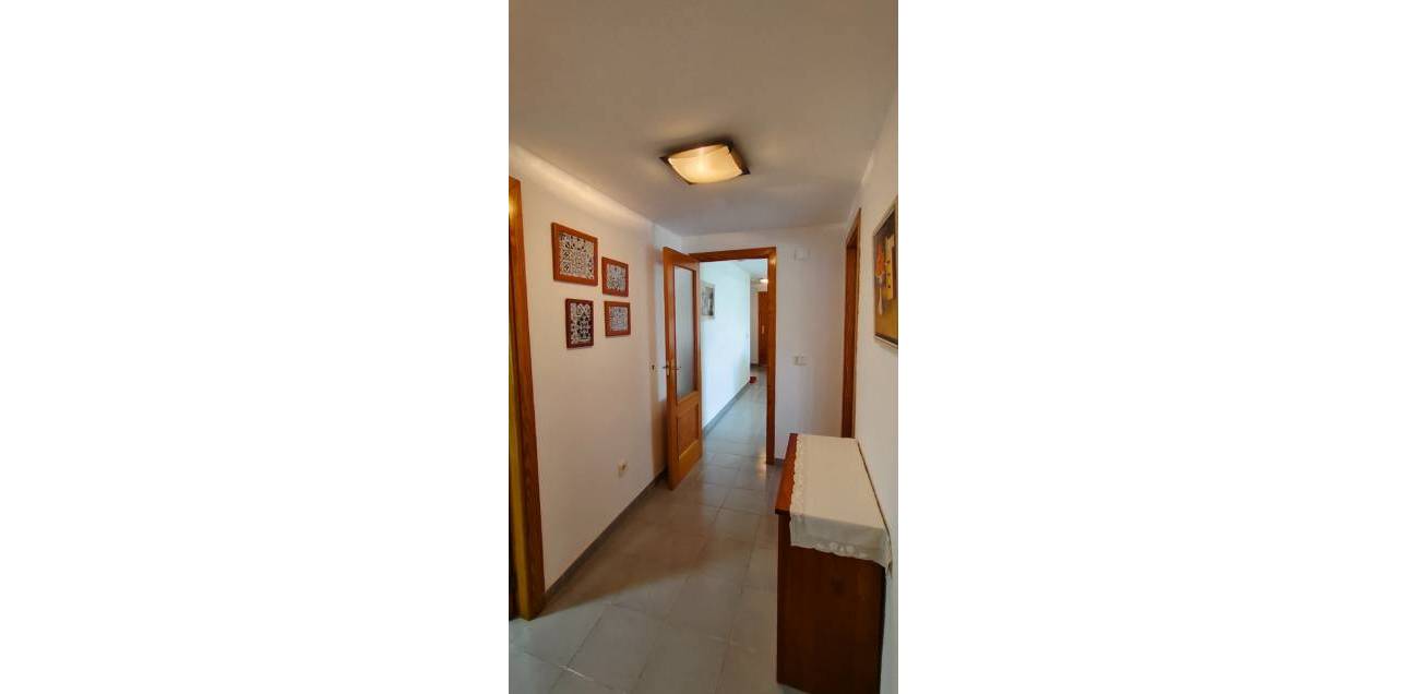 Location longue durée - Appartement - El Campello
