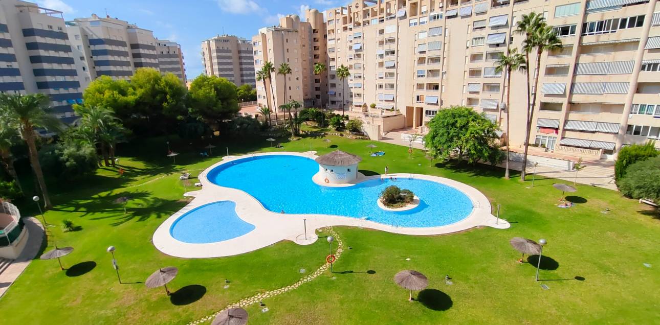 Location longue durée - Appartement - El Campello