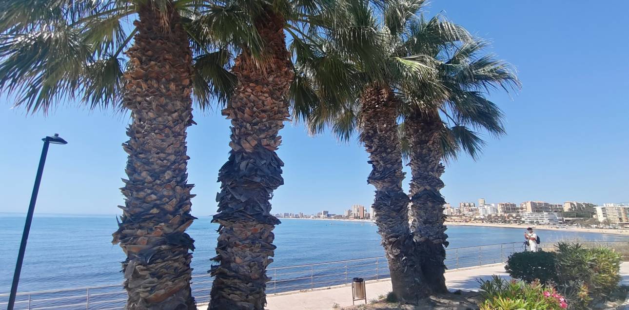 Venta - Apartamento - El Campello - El Campello Playa