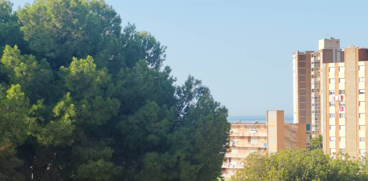 Venta - Apartamento - El Campello - El Campello Playa