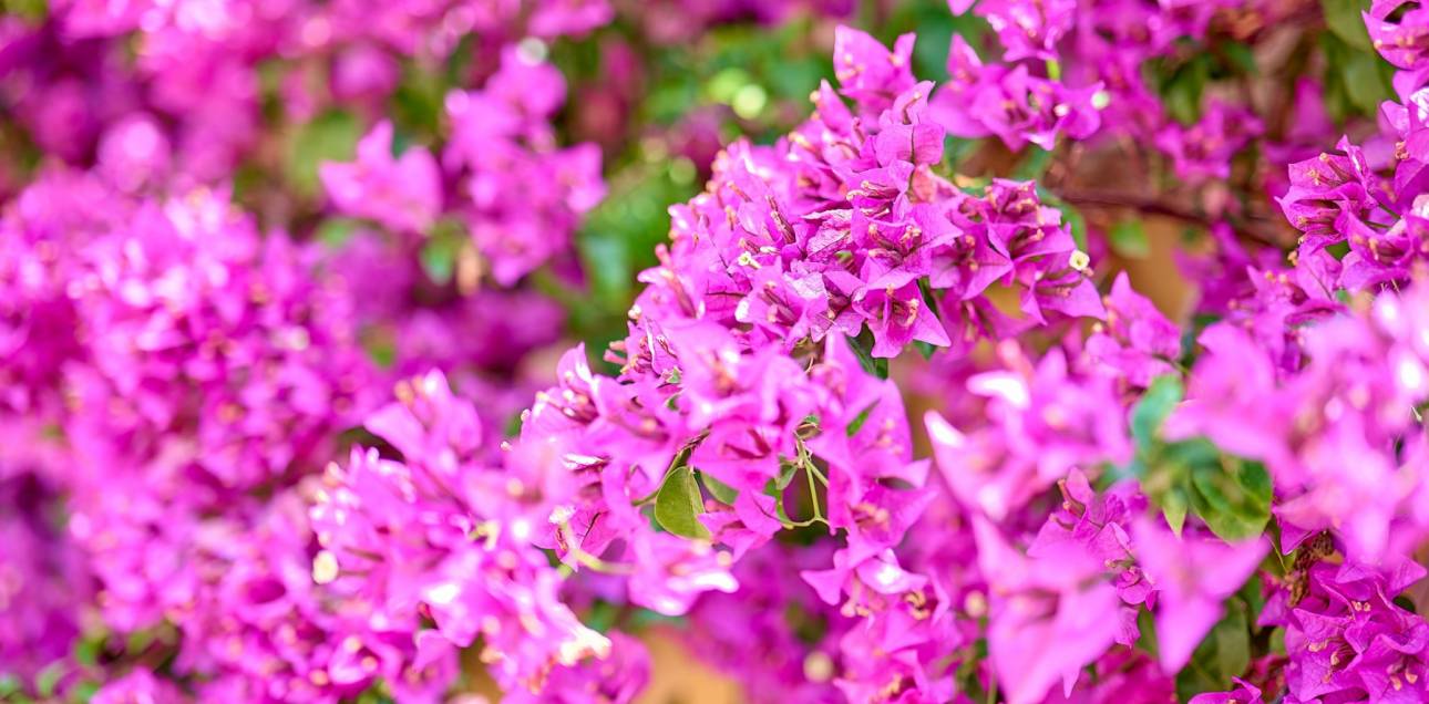 Resale - Villa - Muchamiel