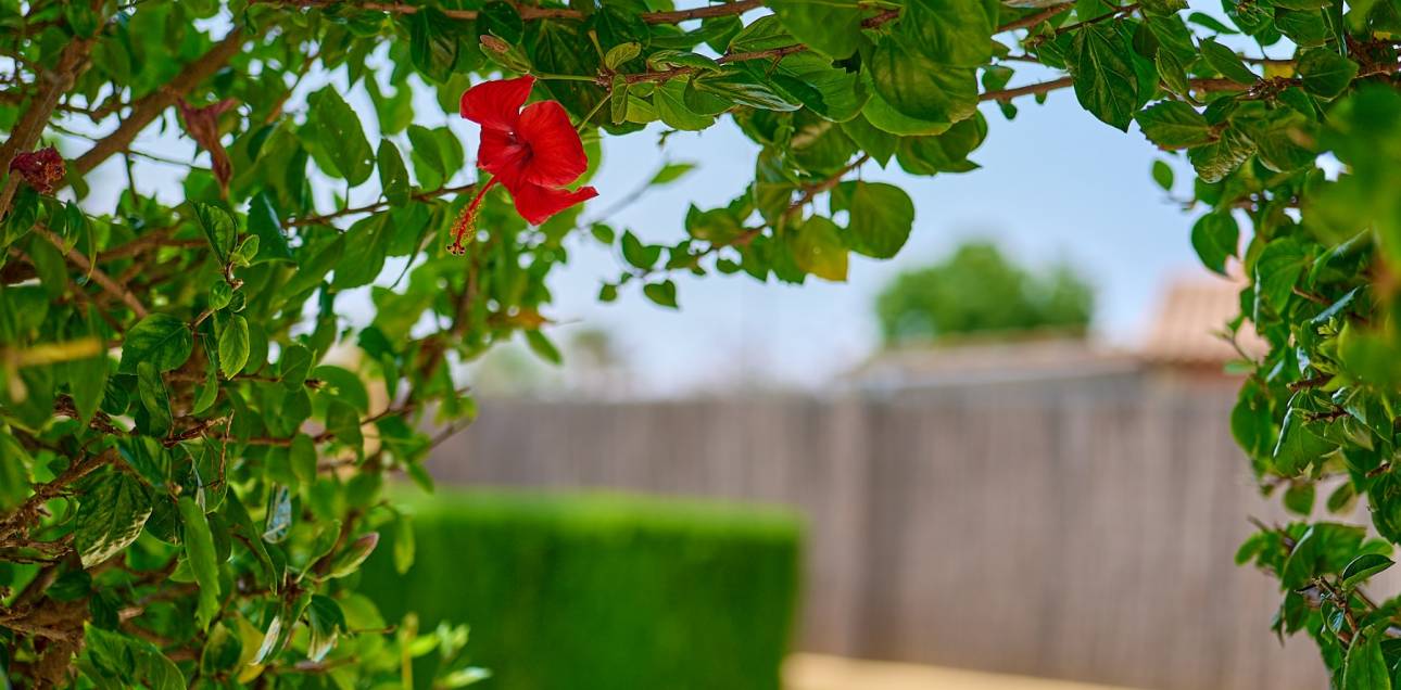 Resale - Villa - Muchamiel