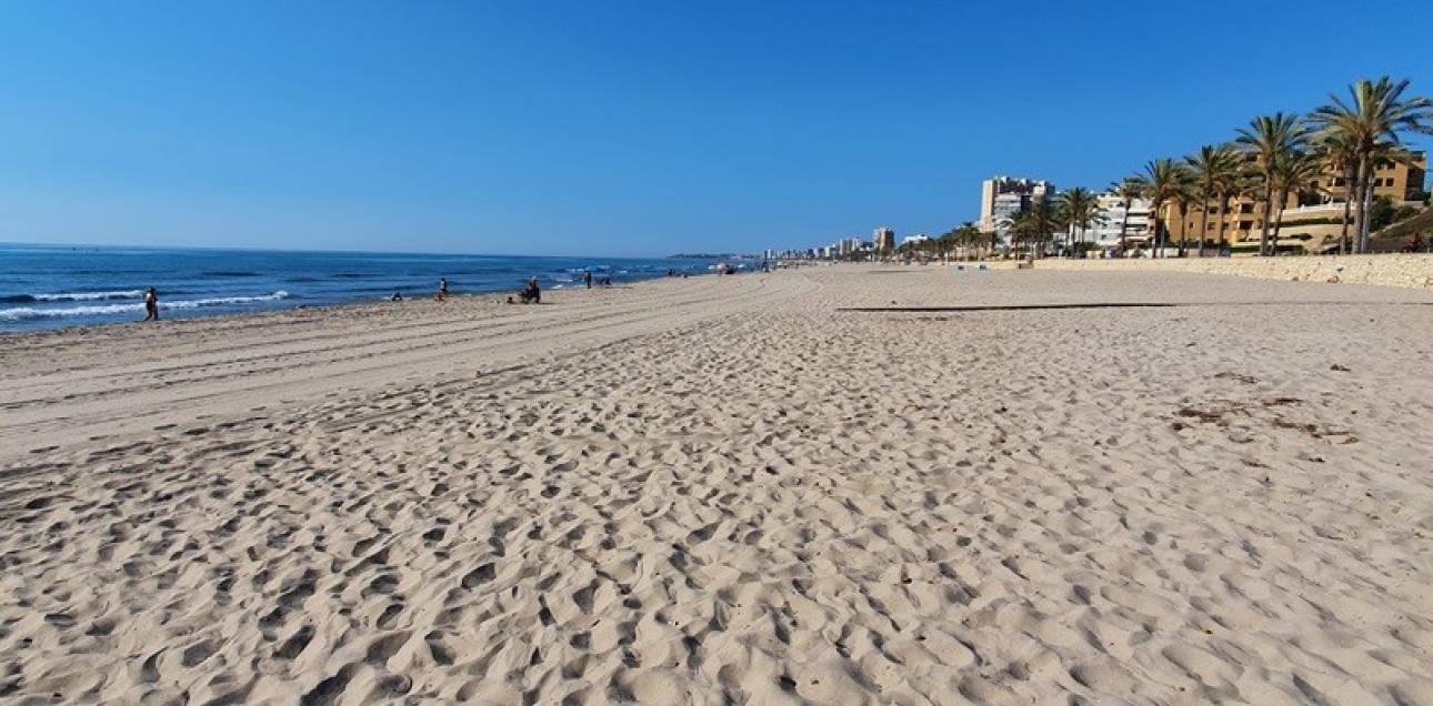 Venta - Apartamento - El Campello - Platja Muchavista