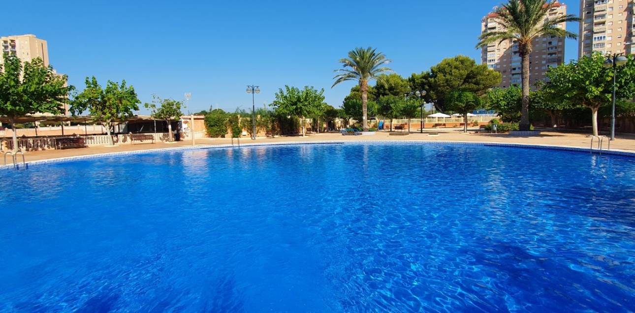 Venta - Apartamento - El Campello - Platja Muchavista