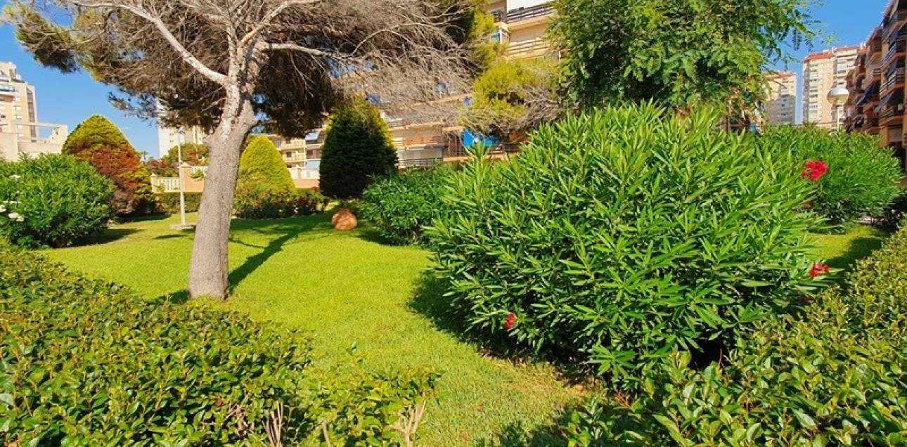 Venta - Apartamento - El Campello - Platja Muchavista